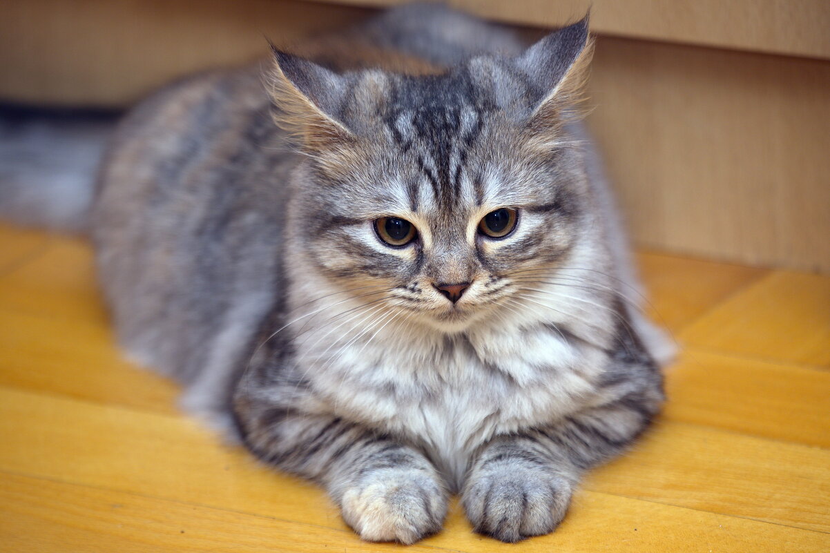 Чертик из тихого омута - M Marikfoto Чертик из тихого омута - M Marikfoto