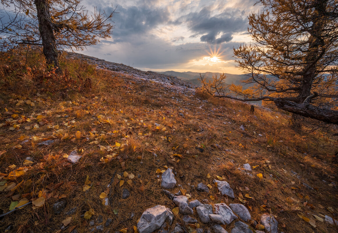 * - Александр Иванов