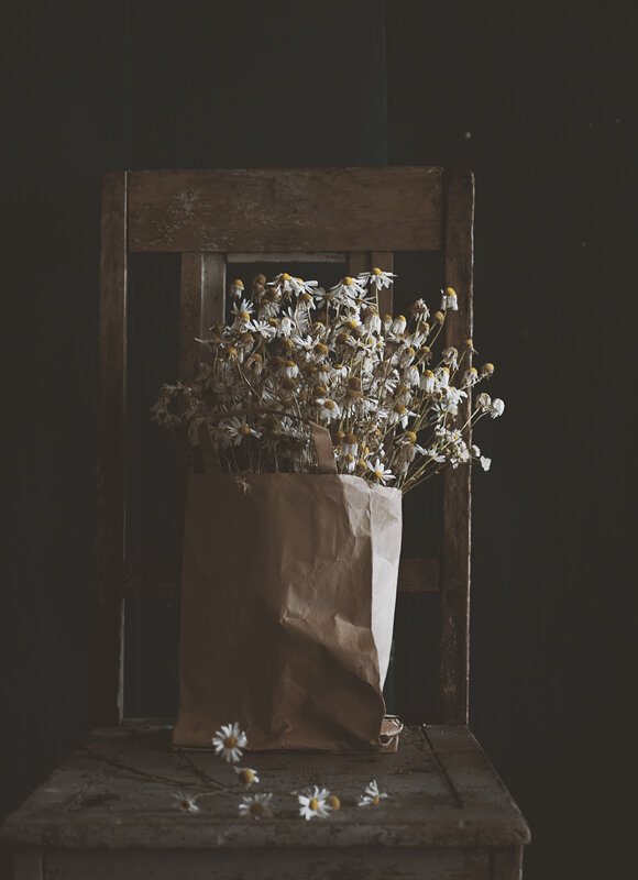 Ромашки... - Liliya 