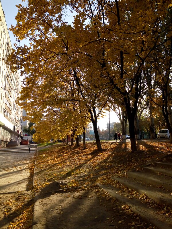 Осень в Мариуполе - Татьяна Пальчикова