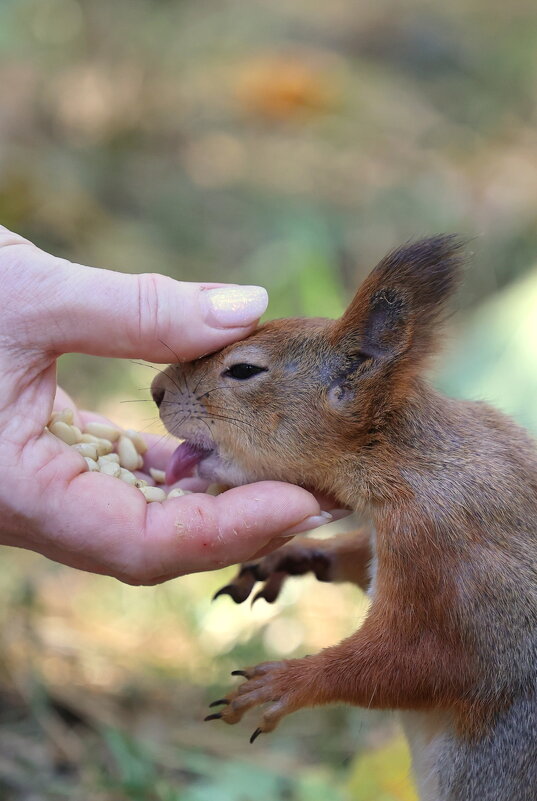 Балдёж... - Александр Кондаков