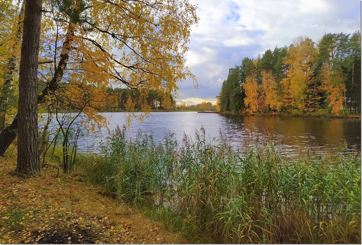 Осень - Вячеслав Минаев