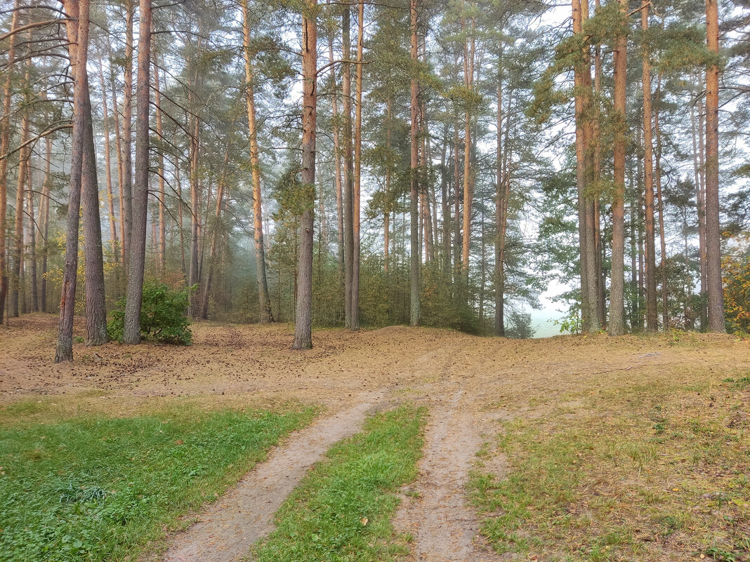 Дорога в тишину - Денис Бочкарёв