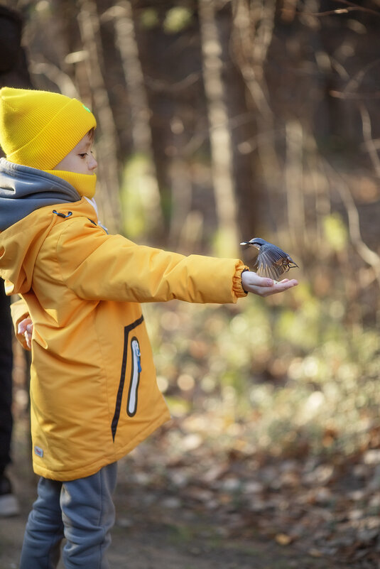 Мальчик и синичка. - Алексей Хаустов Мальчик и синичка. - Алексей Хаустов