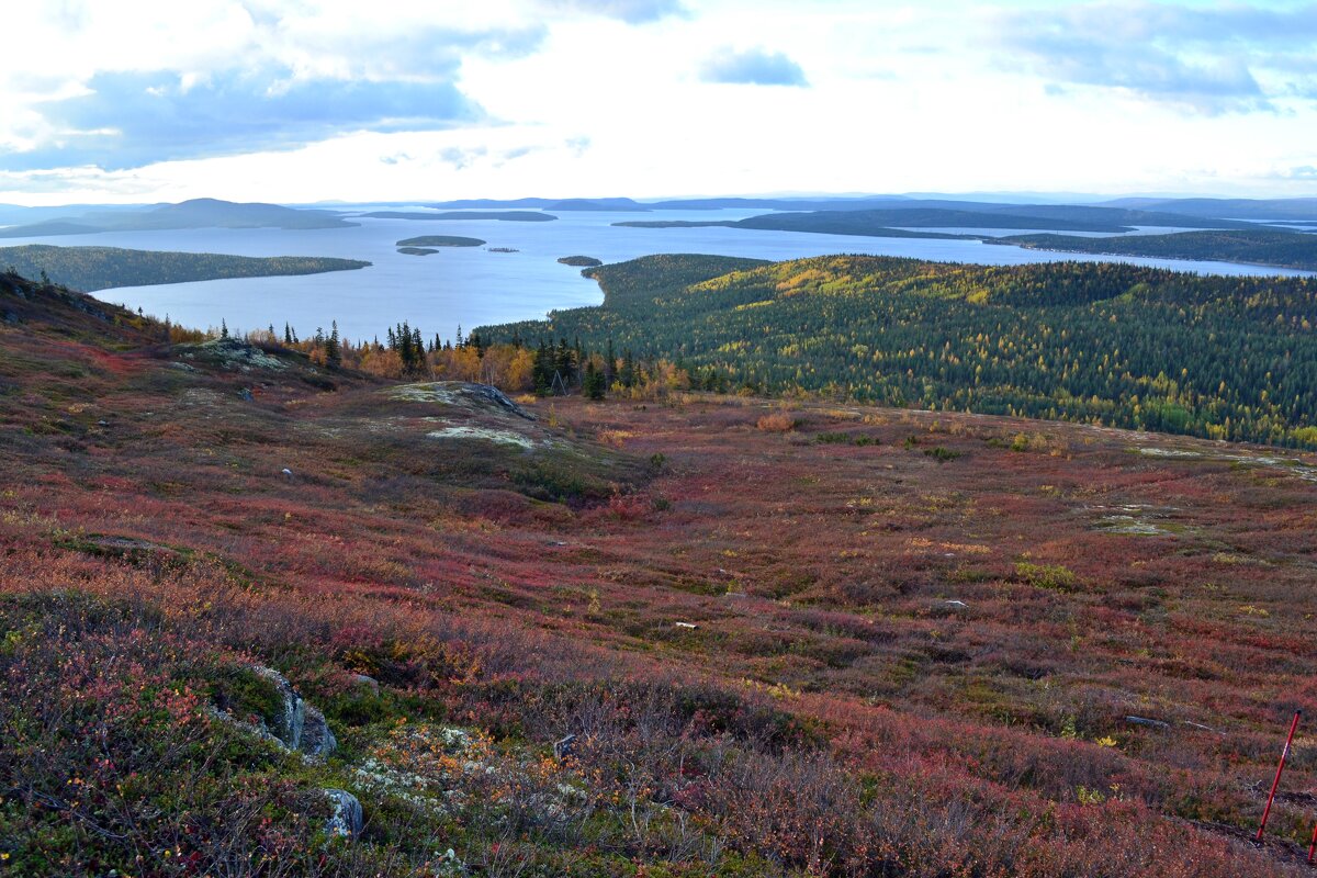 Осенние тундры - Ольга Осенние тундры - Ольга