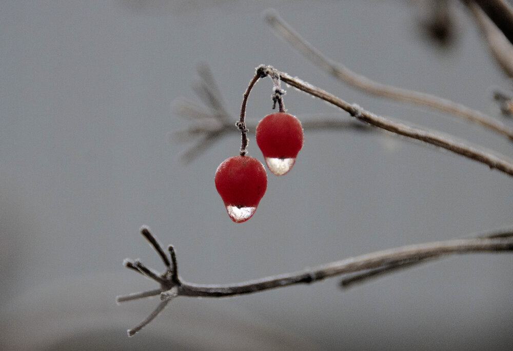 Двое на морозе - Галина Ильясова Двое на морозе - Галина Ильясова