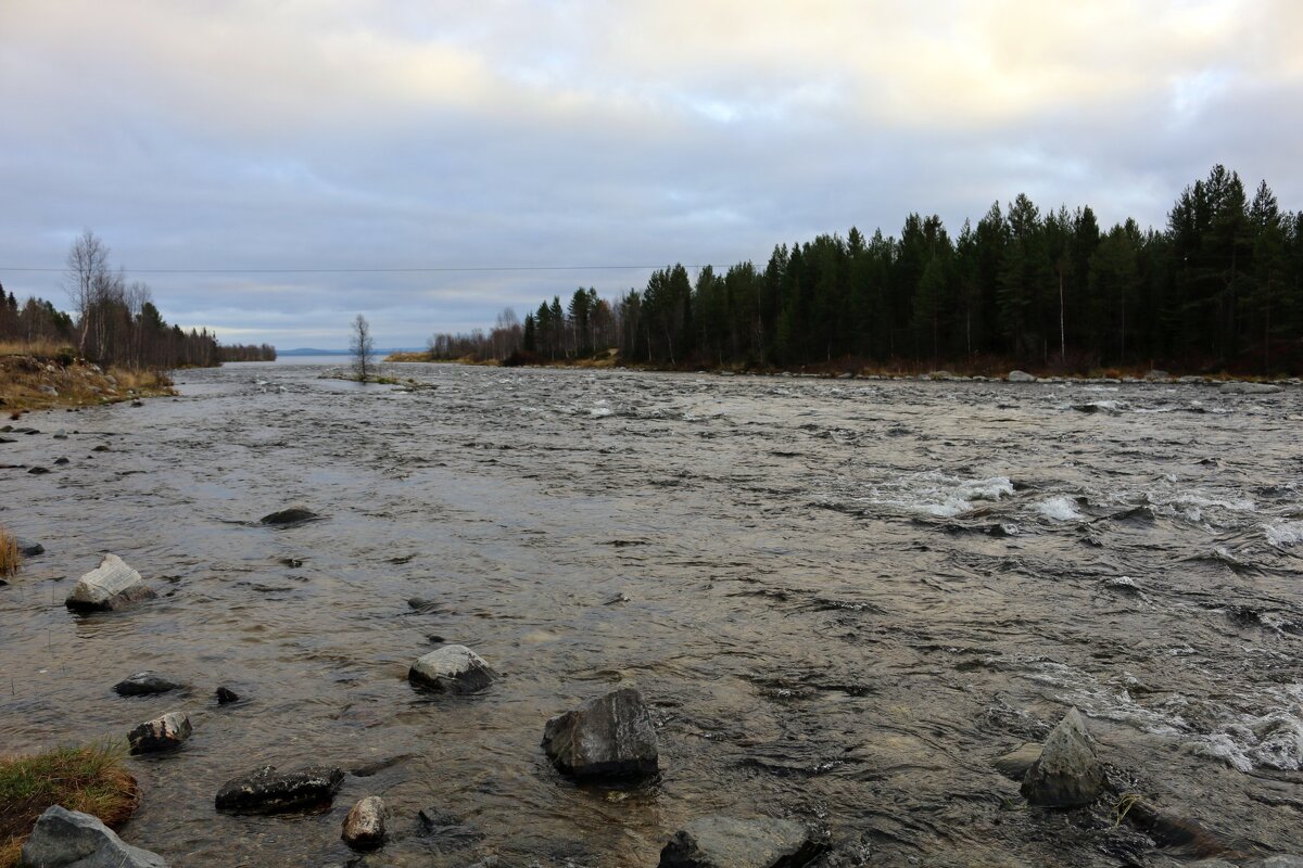 Бурная Пиренга - Ольга Бурная Пиренга - Ольга