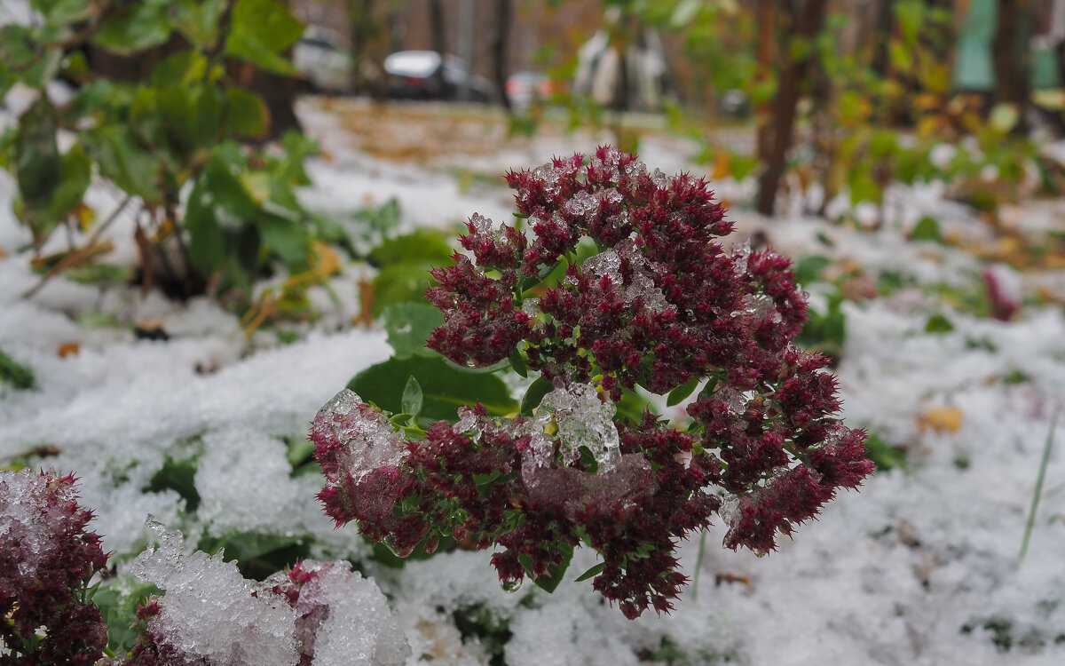 Осенняя Зарисовка - юрий поляков