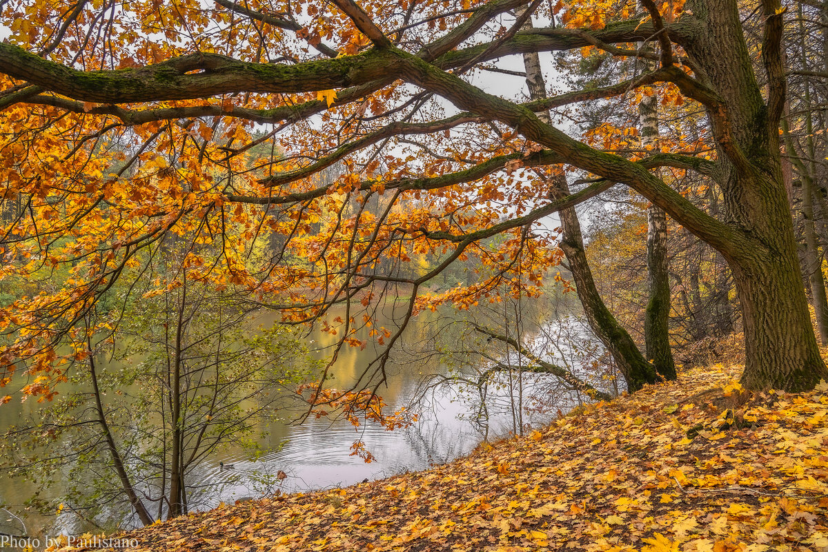 Октябрь в Царицыно... - Владимир Жданов Октябрь в Царицыно... - Владимир Жданов