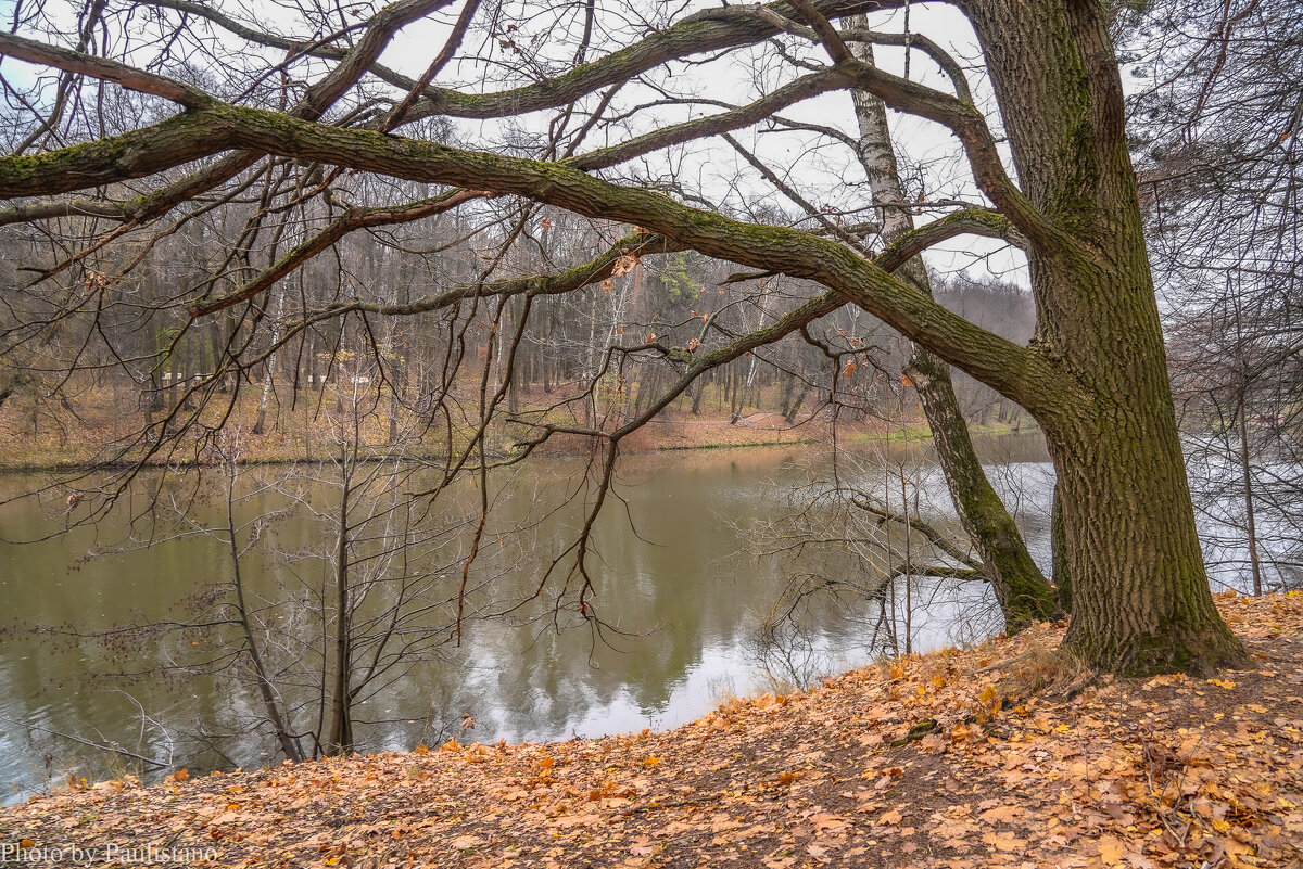 Ноябрь в Царицыно... - Владимир Жданов Ноябрь в Царицыно... - Владимир Жданов