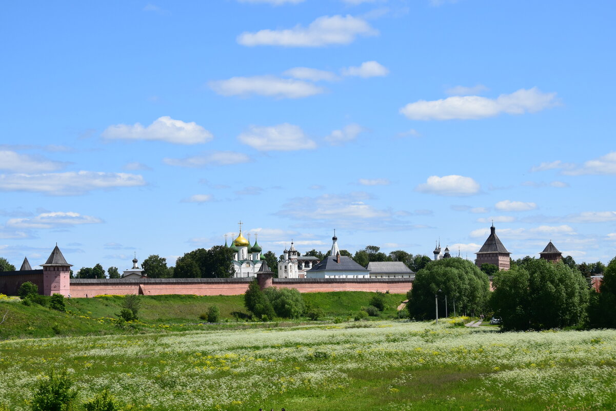 Суздаль. Спасо-Евфимиев мужской монастырь. Вид со стороны реки Каменки - Galina Leskova Суздаль. Спасо-Евфимиев мужской монастырь. Вид со стороны реки Каменки - Galina Leskova