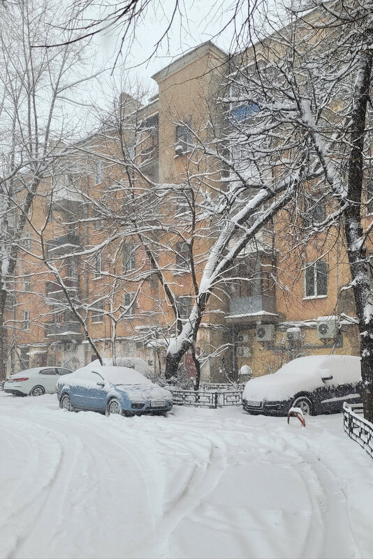 Старый двор погрузился в сон - Татьяна Машошина