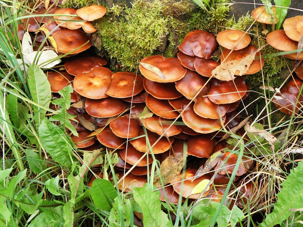 В тесноте - не в обиде - Любовь Зинченко 