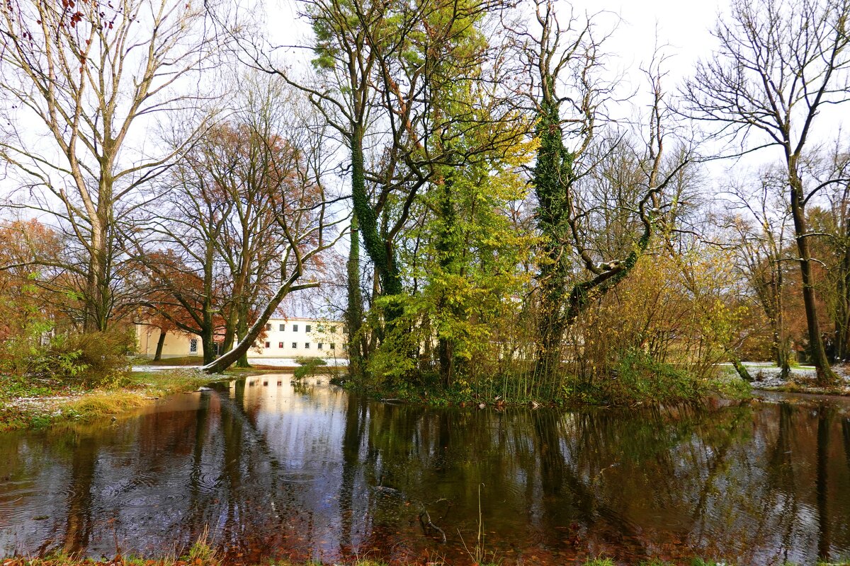 Первый снежок - Galina Dzubina Первый снежок - Galina Dzubina
