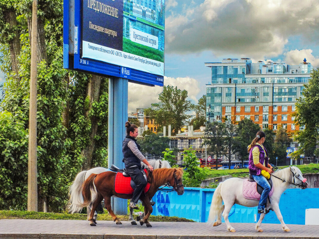 Верхом... - Стальбаум Юрий Верхом... - Стальбаум Юрий