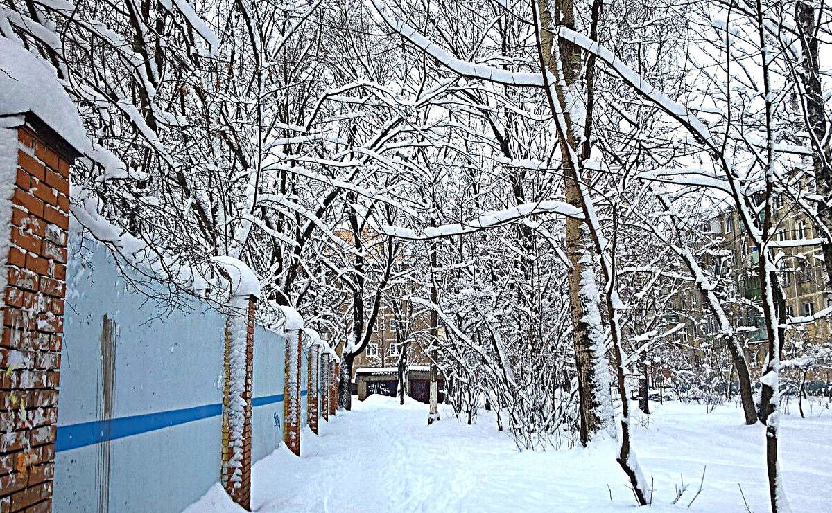 Снежной зимой - Елена Семигина Снежной зимой - Елена Семигина