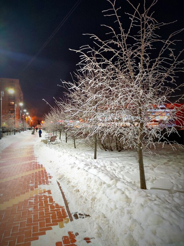 Зима однако... - Ирина 