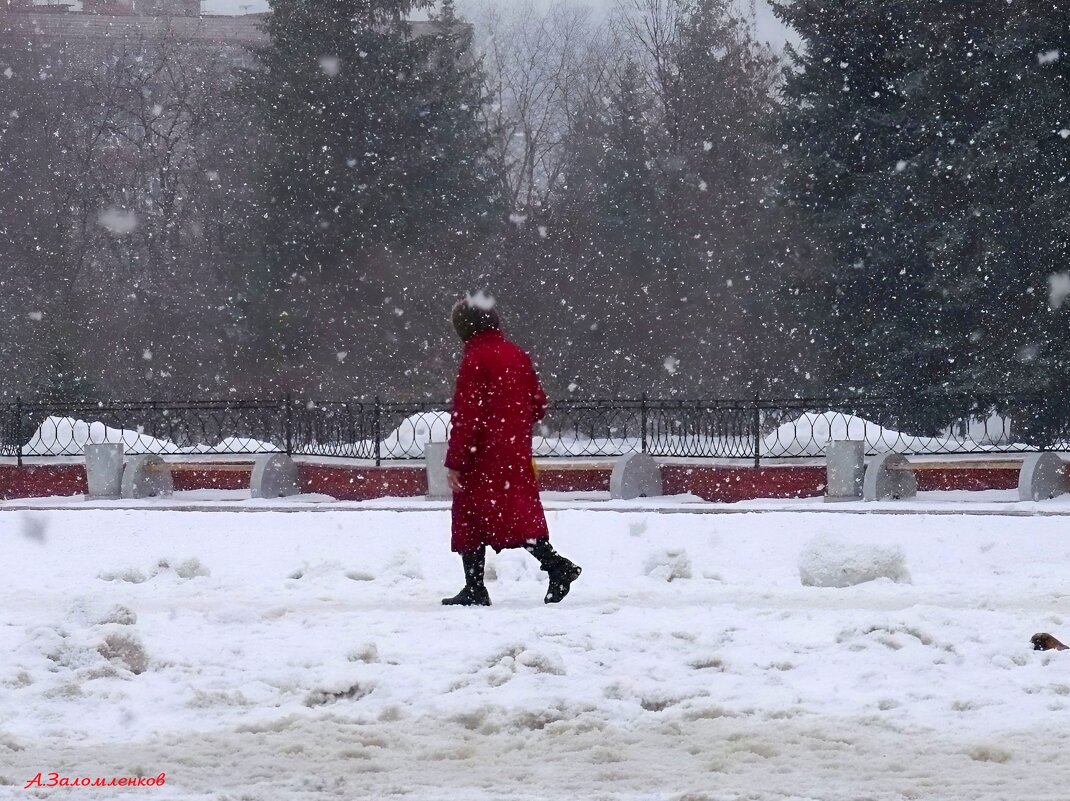 Заметает, зима, заметает.. - Андрей Заломленков