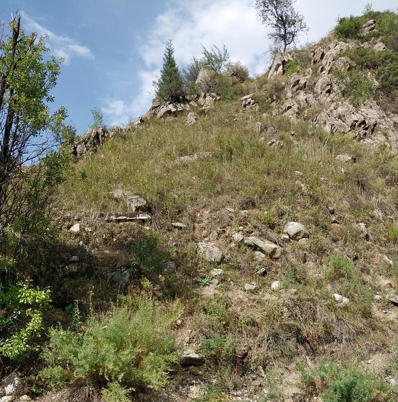 Almaty. - Murat Bukaev 