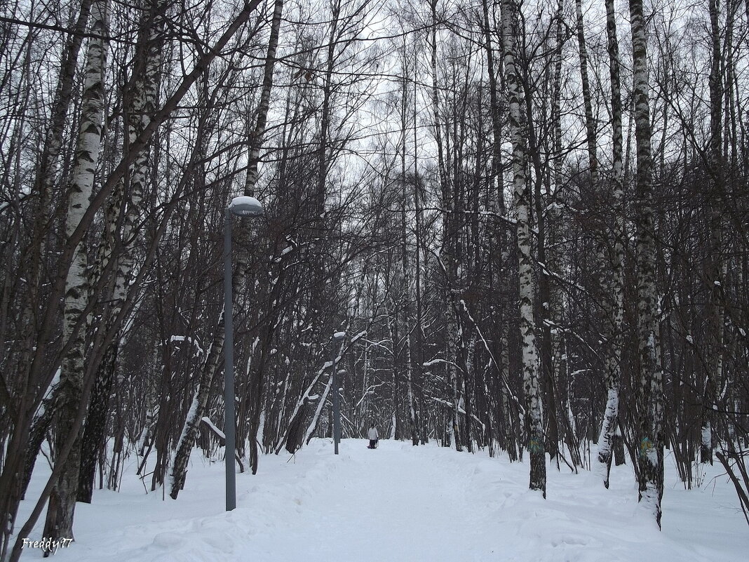 Я люблю вас, короткие дни декабря, вечер года и утро зимы... - Freddy 97 Я люблю вас, короткие дни декабря, вечер года и утро зимы... - Freddy 97