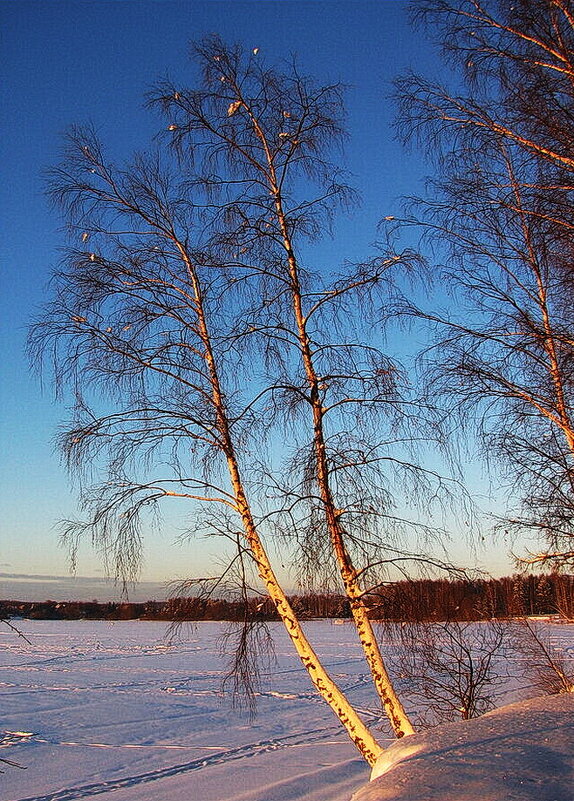 Красота - Людмила Смородинская