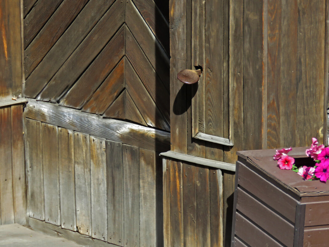 Лапка -ручка. - ИРЭН@ .