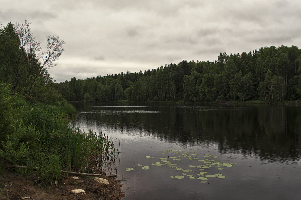 *** - Регина 