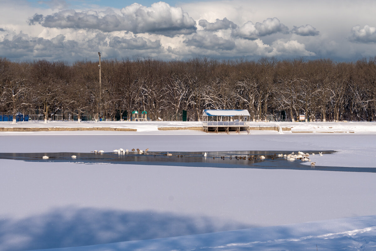 Городское водохранилище - Игорь Сикорский