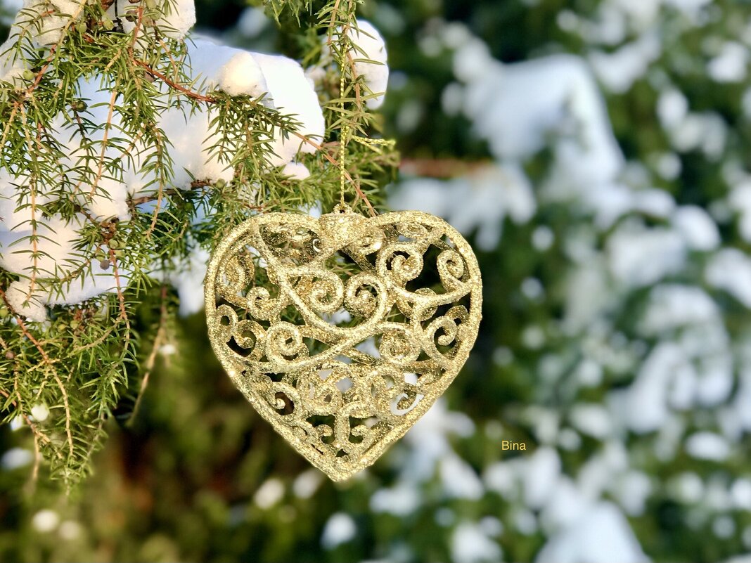 Сердечный привет) - Альбина 