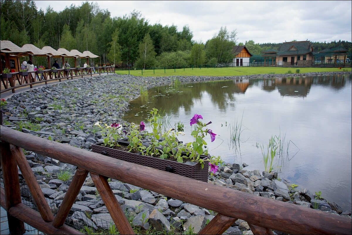 По Зоопарку - Сеня Белгородский