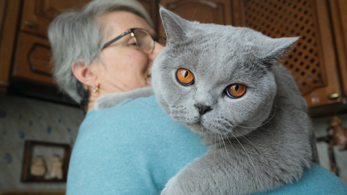 Масик - Лютый Дровосек