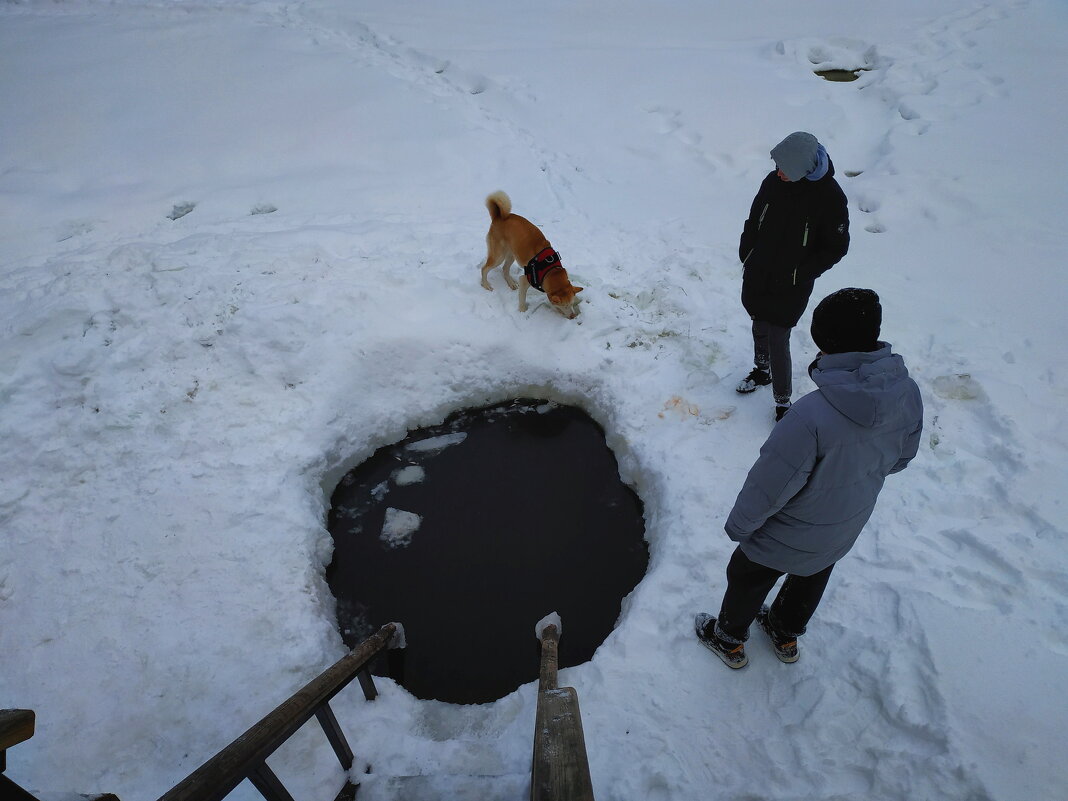 Не моржи - Андрей Лукьянов Не моржи - Андрей Лукьянов