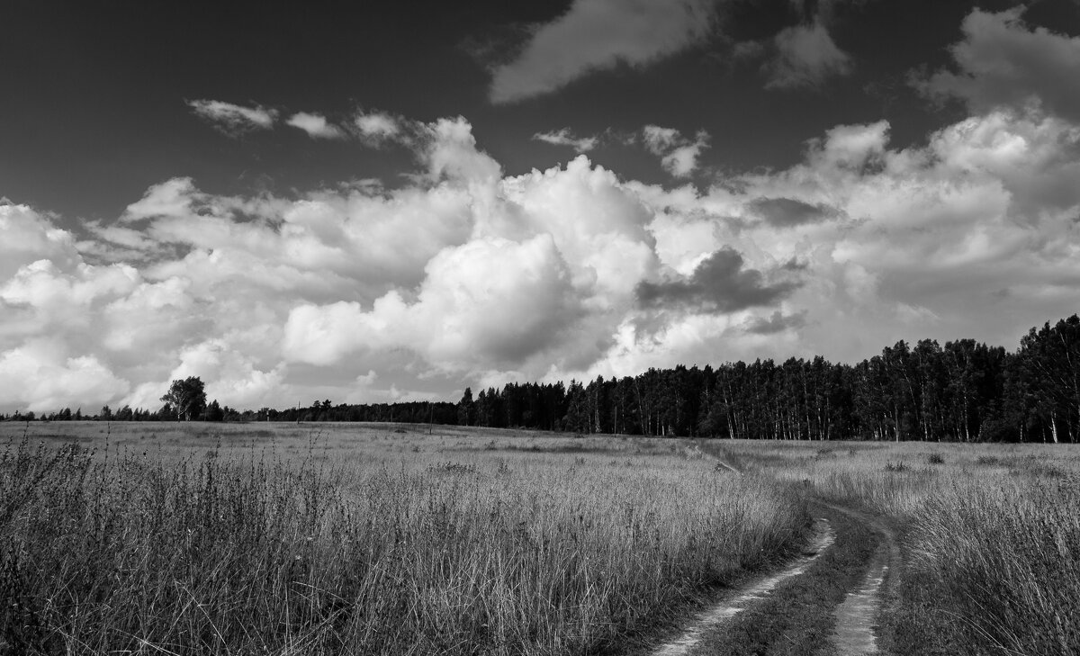 Летние поля. Когда то, при коммунистах, все это было засеяно. - Андрей Андрианов