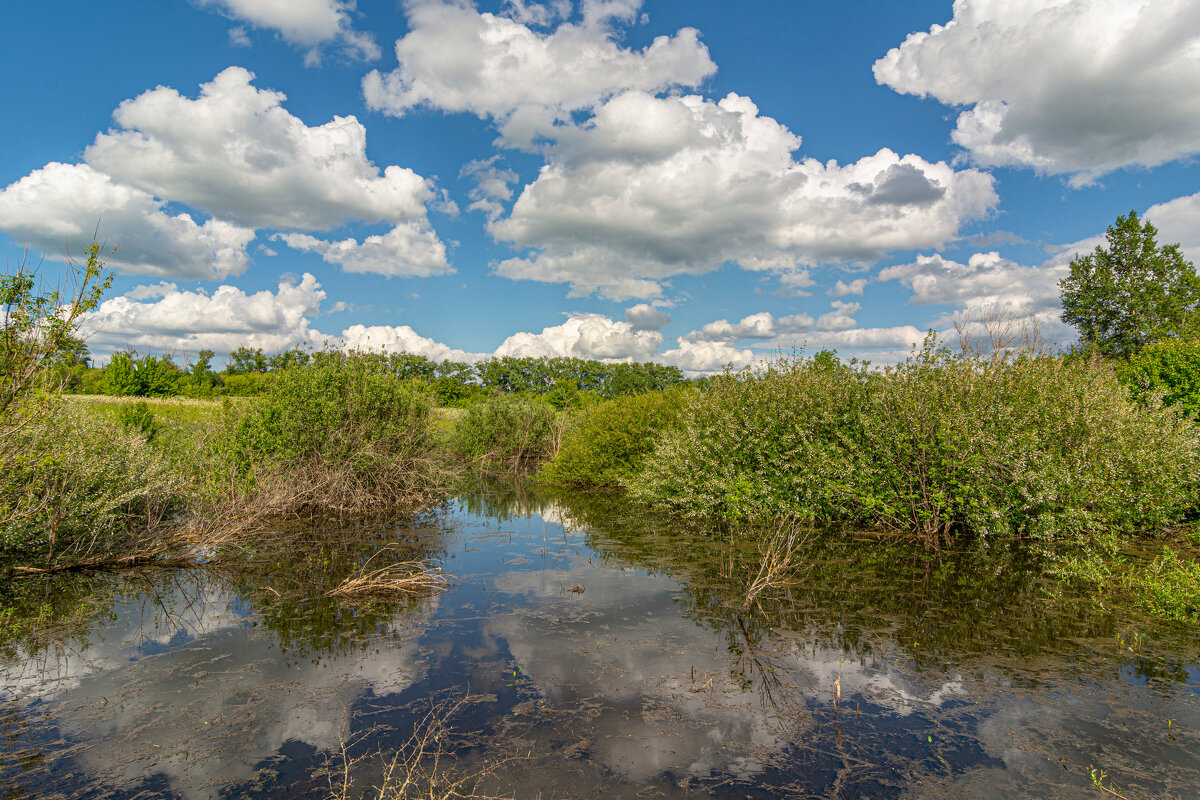 в полях - Виталий Емельянов в полях - Виталий Емельянов