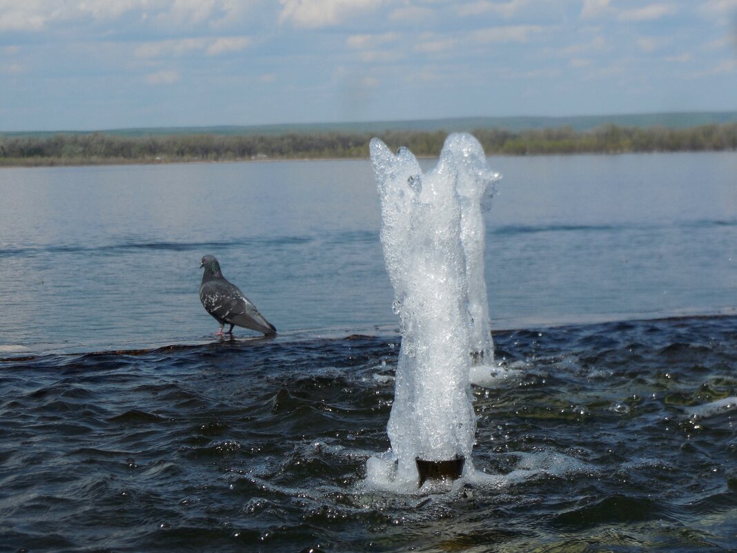 Волга - Надежда 