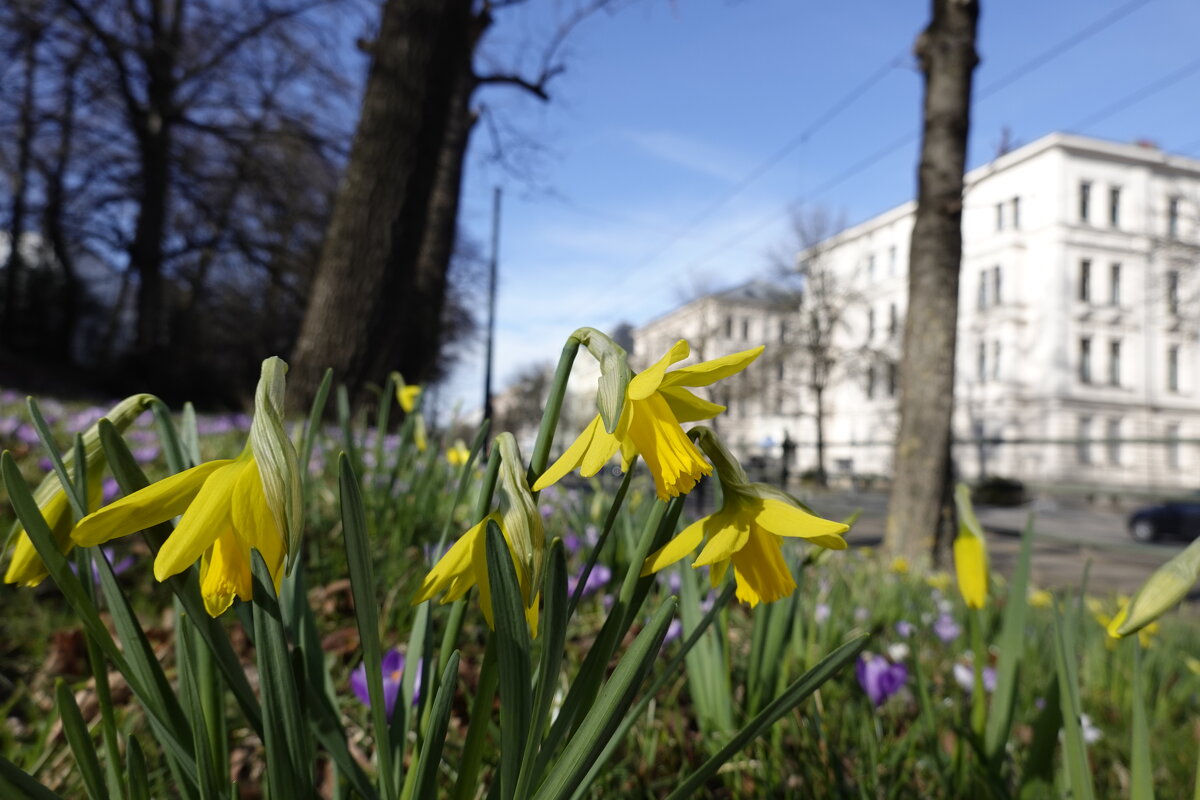 ::: - Galina Dzubina ::: - Galina Dzubina