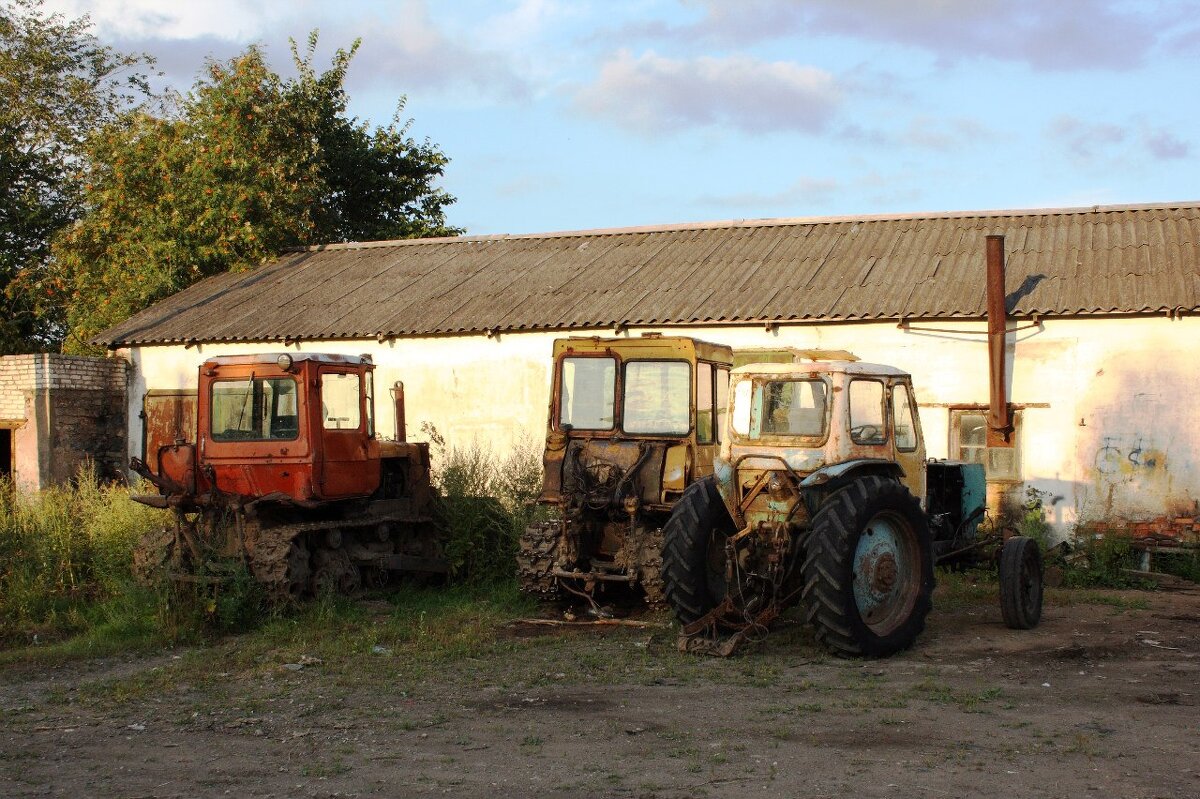 На хуторе в Белошкино - Артем 