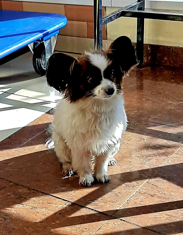 *** - Владимир Захаров