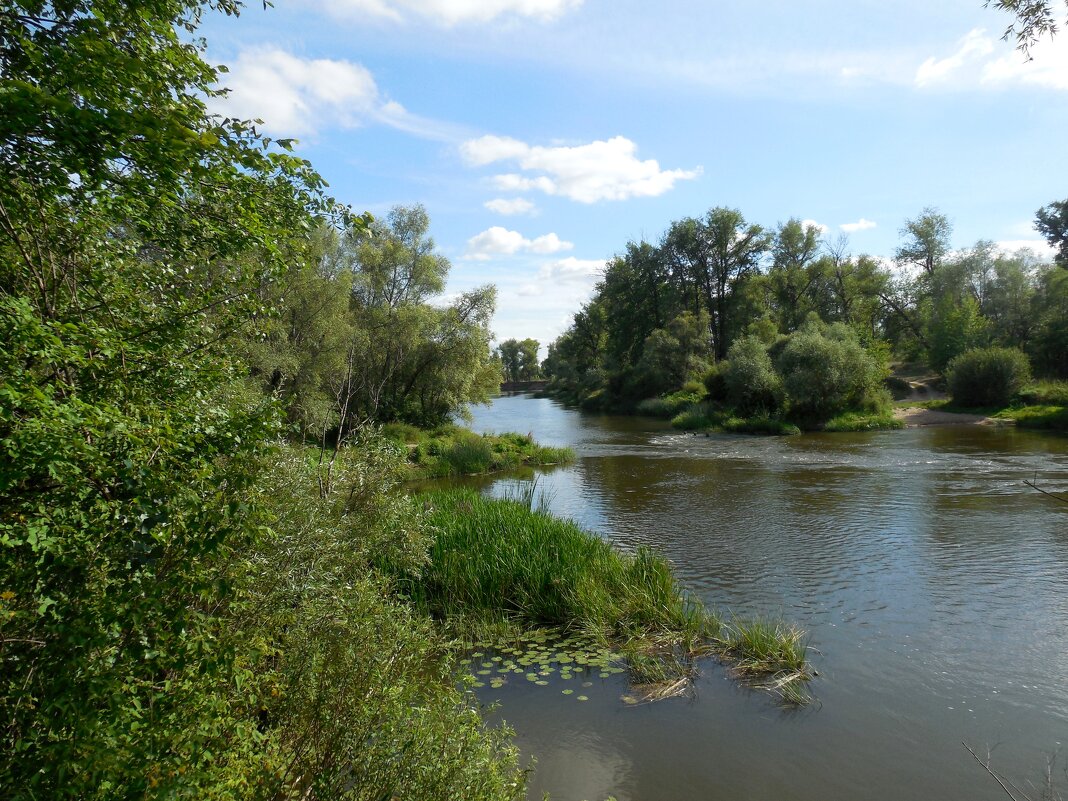 Самара, река Сок - Надежда 