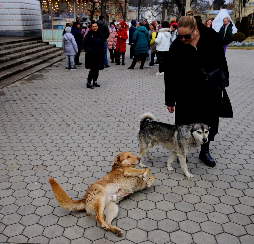 Кисловодск. Парк - Evgeny Mameev