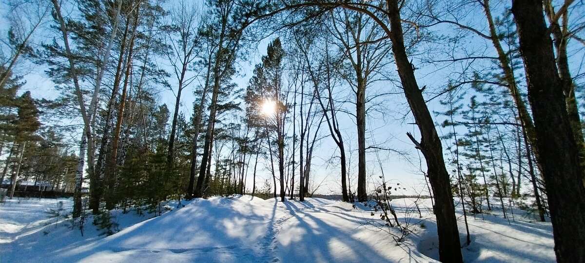 прогулка - Валентина 