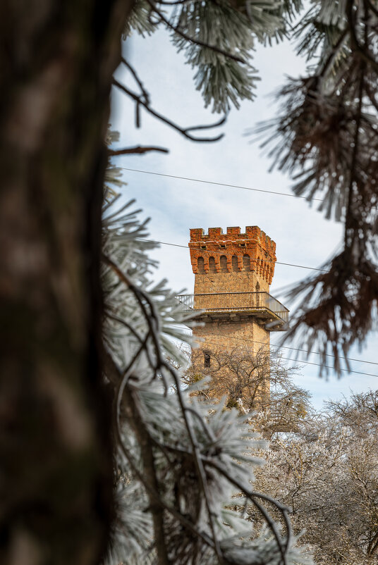 Башня - Referee (Дмитрий)