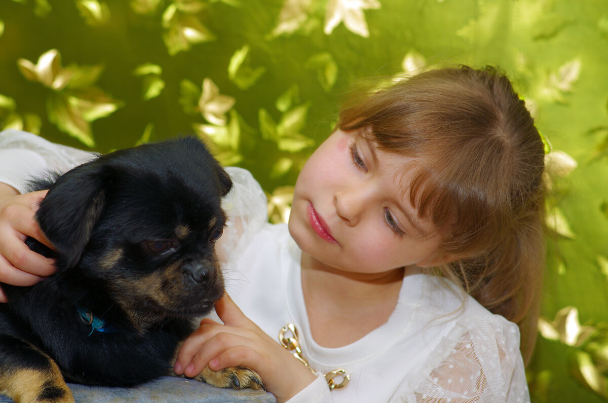 Тошка он хороший ни когда его не брошу. - Анатолий Момотов Тошка он хороший ни когда его не брошу. - Анатолий Момотов