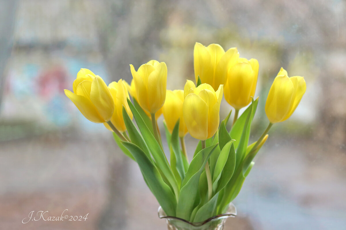 *** - Елена Kазак (selena1965)