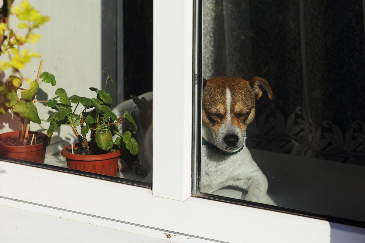 Прищурилась... - Юрий Гайворонскiий Прищурилась... - Юрий Гайворонскiий