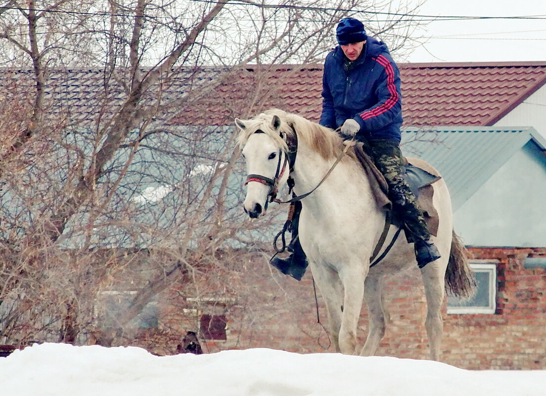 Всадник. - сергей 