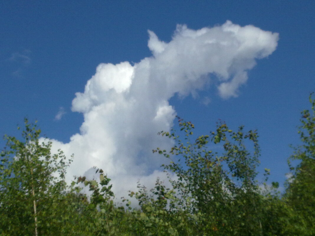 взлет - Владимир 