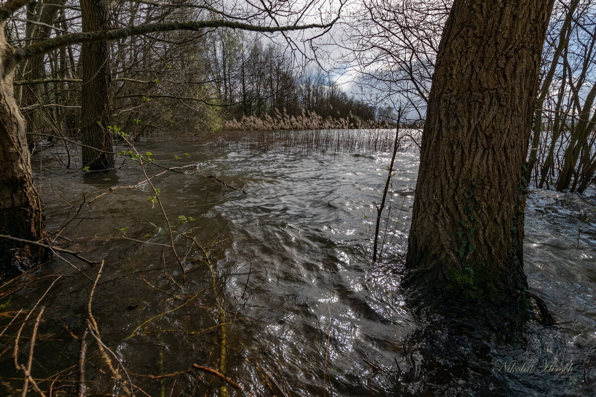 Водичка... - Николай Гирш