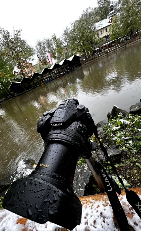 Мир Природы "The Natural World" Весеннее пробуждение Апрель, апрель - "The Natural World" Александер Мир Природы "The Natural World" Весеннее пробуждение Апрель, апрель - "The Natural World" Александер