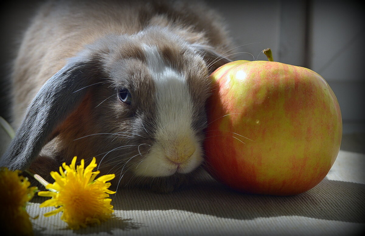 . - Алексей Неустроев . - Алексей Неустроев